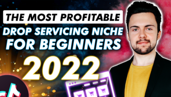 The MOST PROFITABLE Drop Servicing Niche for Beginners in 2022 Blog Image